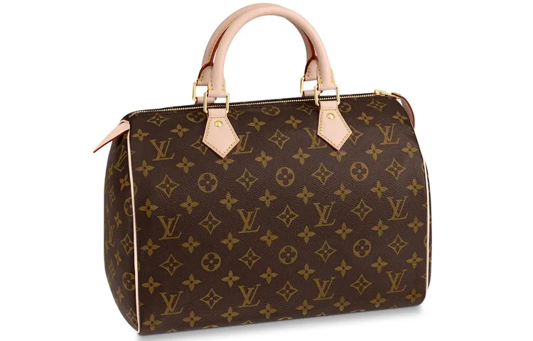 LOUIS VUITTON Speedy Coated Canvas With Cow Leather Trim Pillow Bag Handbag 30 Women's Brown