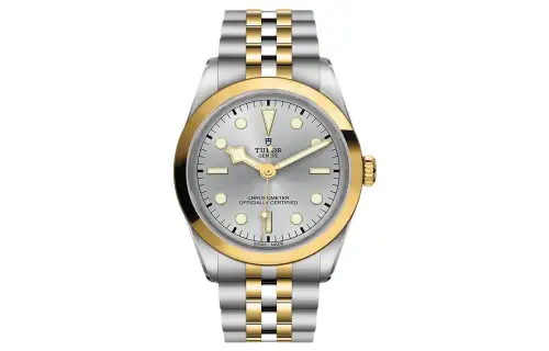 TUDOR BLACK BAY Collection Mechanical Movement Men's Watches Watch 36mm Gray Dial Matte Steel Gold Strap