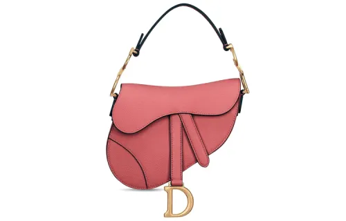 DIOR Saddle Shoulder Bags