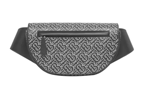 Burberry Olympia Belt Bag