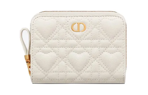 DIOR Clutches
