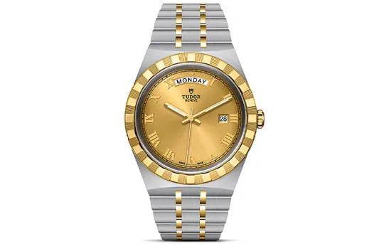 TUDOR Royal Collection Automatic Mechanical Movement Men's Watches Watch 41mm Gold Dial Steel Watch Case