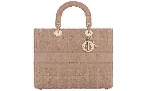 DIOR Handbags