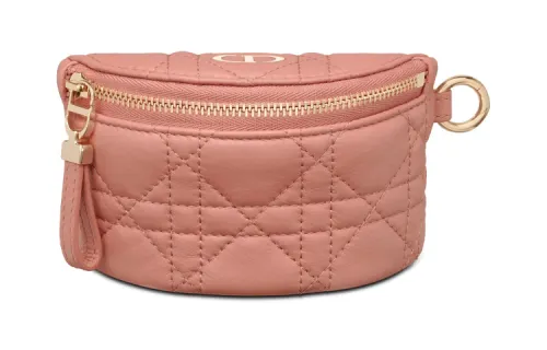 DIOR Coin Purses
