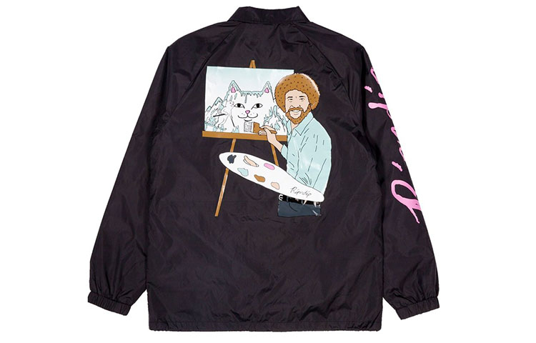 Куртки RIPNDIP