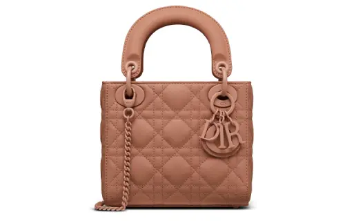 DIOR Lady Dior Handbags
