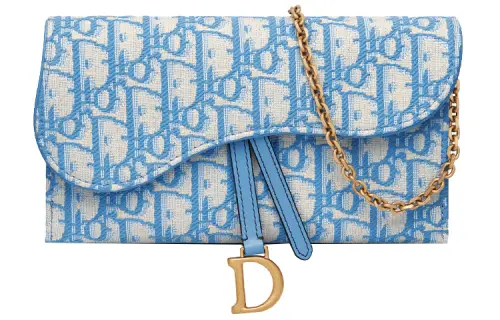 DIOR Saddle Shoulder Bags