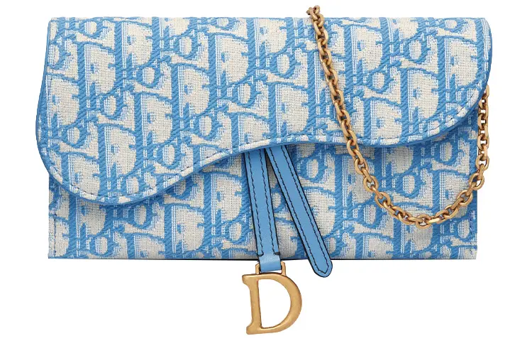 DIOR Saddle Shoulder Bags
