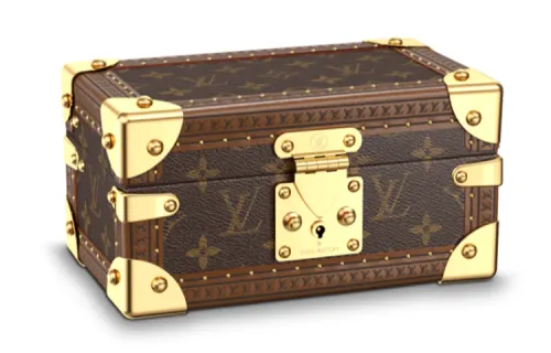 LOUIS VUITTON Canvas Storage Box Regular Unisex