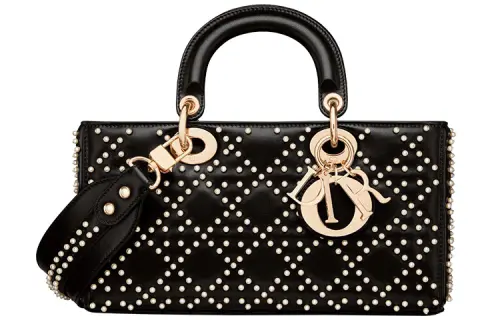 DIOR Lady D Joy Handbags