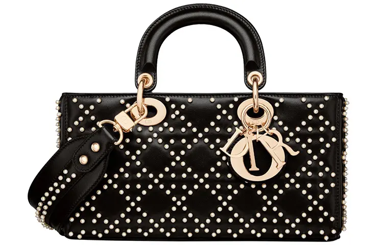 DIOR Lady D Joy Handbags