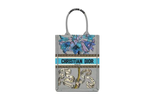 DIOR BookTote Handbags