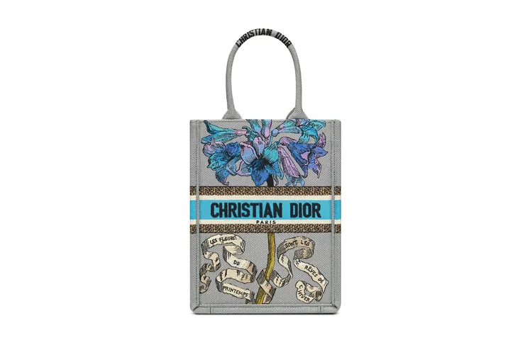 DIOR BookTote Handbags