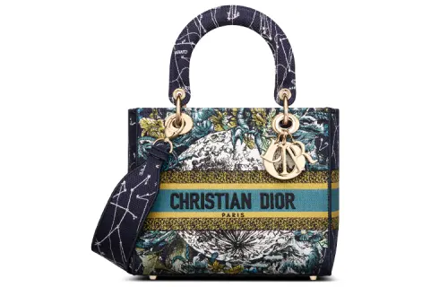 DIOR Handbags