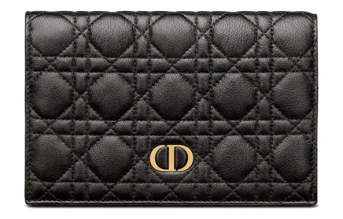 DIOR Caro Clutches