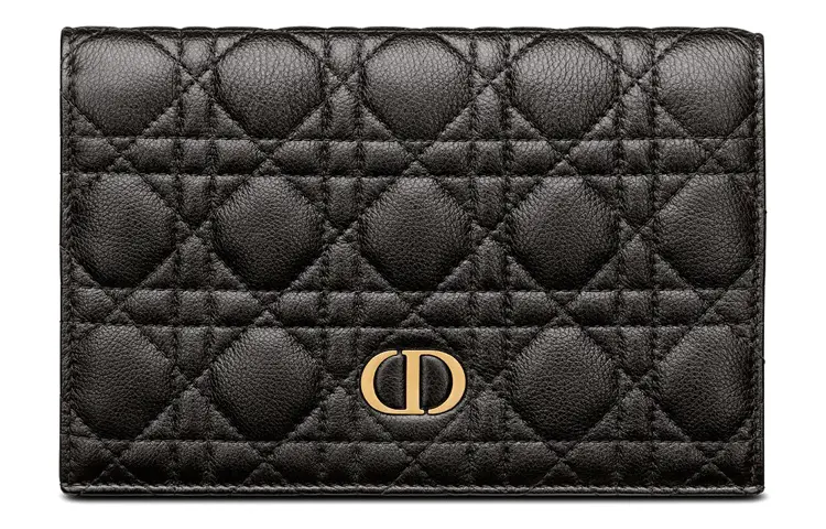DIOR Caro Clutches