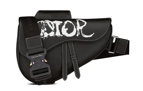 DIOR PETER DOIG Collaboration Saddle Print Grained Calfskin Saddle Bag, Sling Bag Men's Black