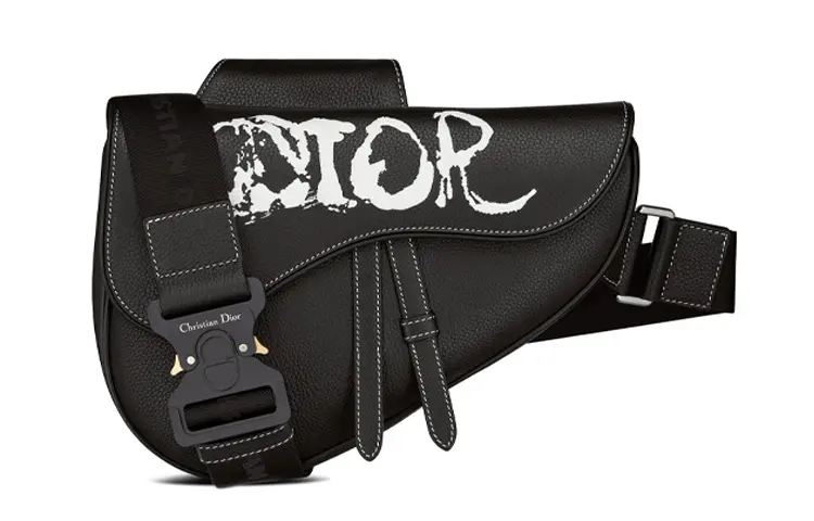 DIOR PETER DOIG Collaboration Saddle Print Grained Calfskin Saddle Bag, Sling Bag Men's Black