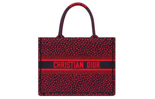DIOR BookTote Handbags
