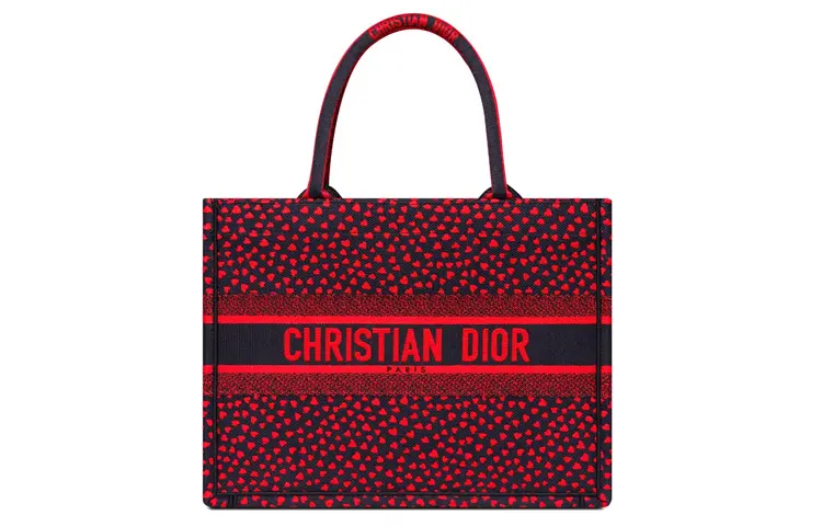 DIOR BookTote Handbags