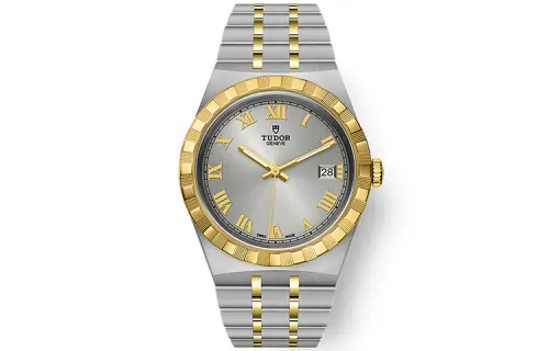 TUDOR Royal Collection Automatic Mechanical Movement 100m Waterproof Men's Watches Watch Silver Dial