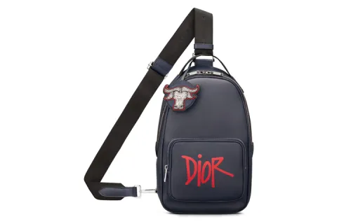 DIOR Shawn Collaboration Cow Leather Shoulder Bag, Crossbody Bag Regular Men's Marine Blue