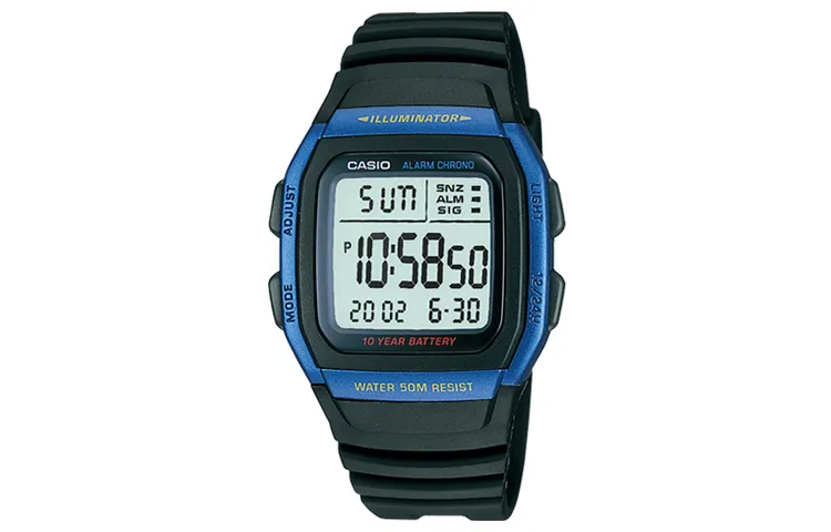 CASIO Men YOUTH Gray Watch W-96H-2AVDF