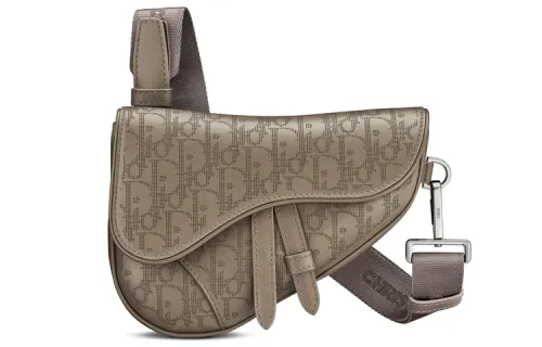 DIOR Saddle Leather Saddle Bag, Sling Bag, Fanny Pack, Shoulder Bag, Crossbody Bag Mini Men's Beige