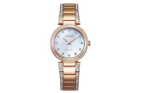 CITIZEN Ecology Drive Collection Light Powered Quartz Movement Stainless Steel Strap Watch
