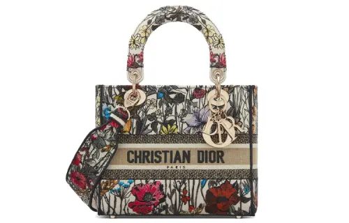 DIOR Handbags