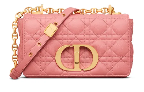DIOR Caro Series Crossbody Bags