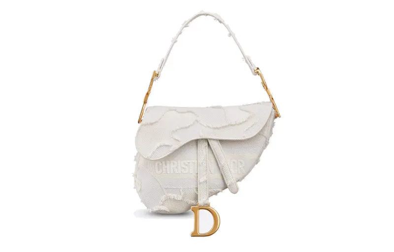 DIOR Saddle Shoulder Bags