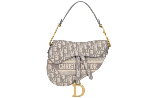DIOR Saddle Bag Gray DIOR Oblique Embroidery