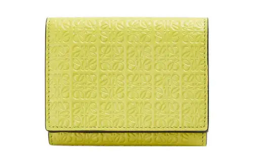 LOEWE Wallets