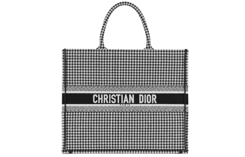 DIOR BookTote Handbags