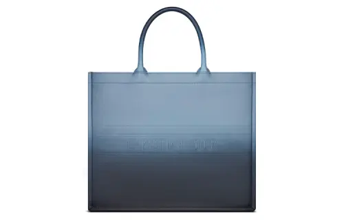 DIOR BookTote Smooth Cow Leather Handbag Women's Blue