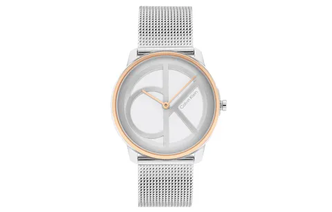 CALVIN KLEIN Wrist Watches Quartz Movement Steel Strap 35mm Gray Dial Women's Watch