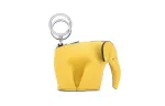 LOEWE Charms Unisex Yellow