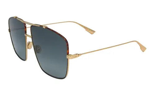 DIOR DIORMonsieur2 Square Frame Sunglasses