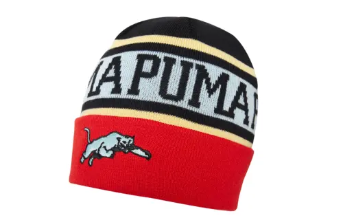 PUMA Color Block Polyester Beanies Unisex