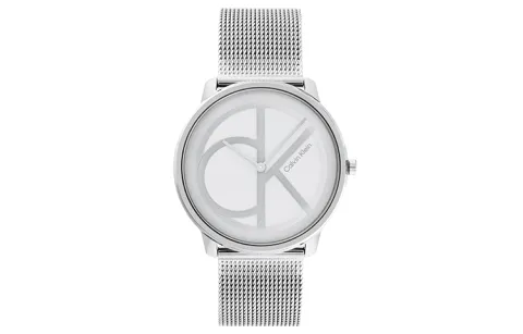 CALVIN KLEIN Wrist Watches Quartz Movement Stainless Steel Strap Silver Dial Men's Watches