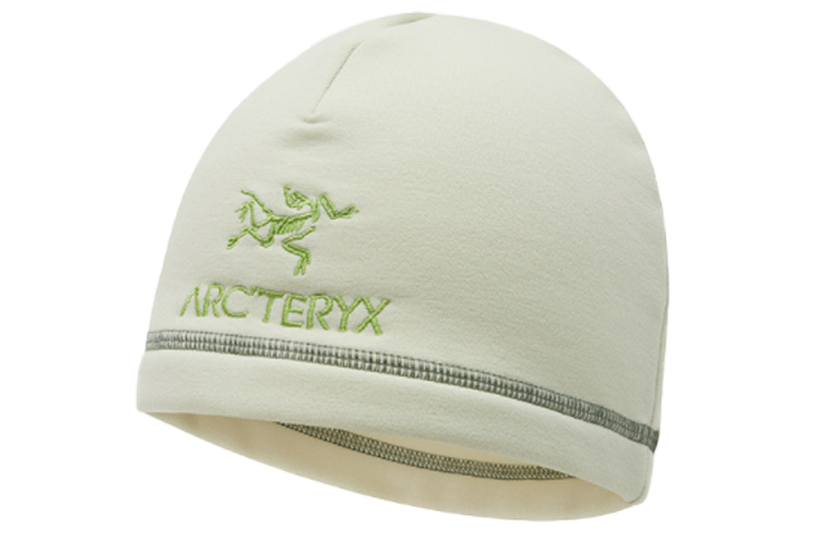 Шапка Arcteryx (угольно-черная)
