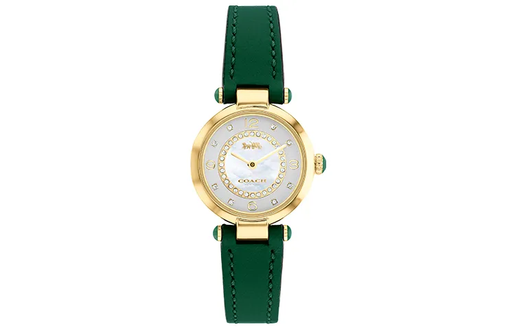 COACH Cary Wrist Watches Quartz Movement Cow Leather Strap Mother of Pearl Color Watch Dial Women's Watch