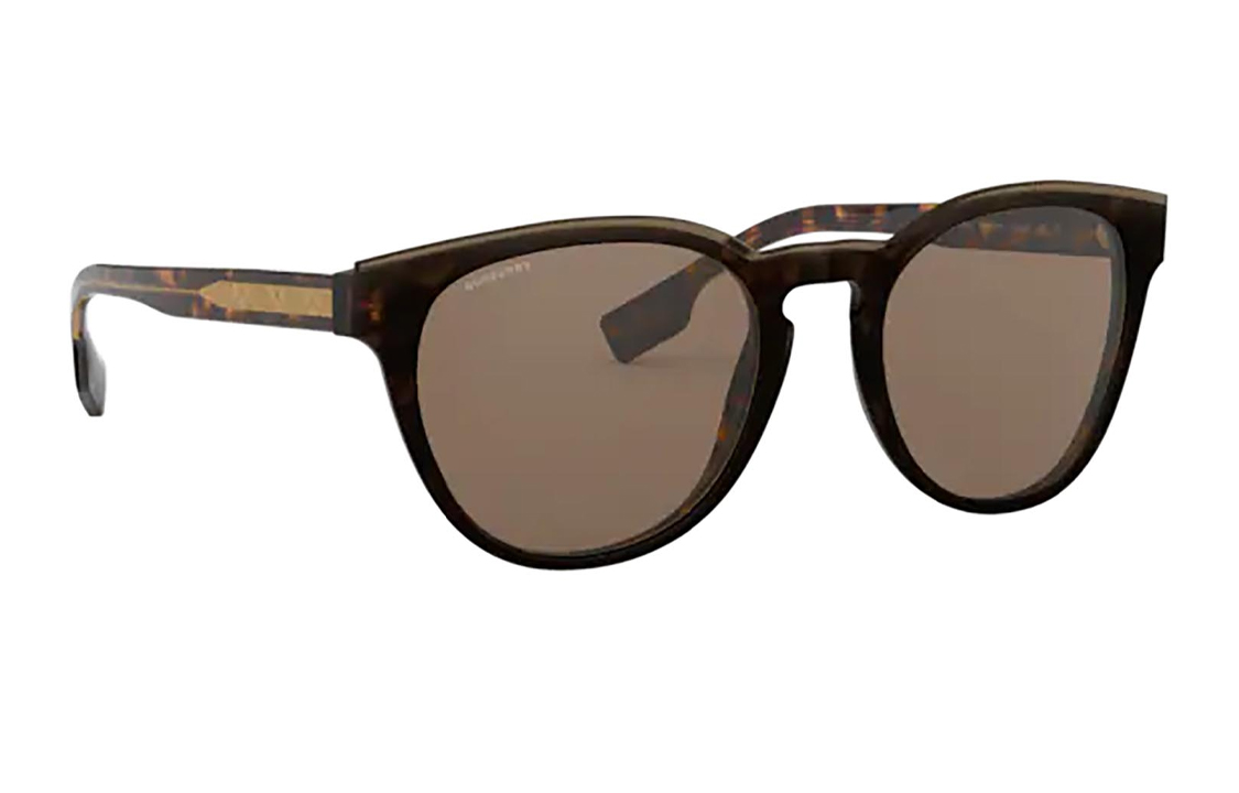 очки Burberry BE431031 (коричневые)