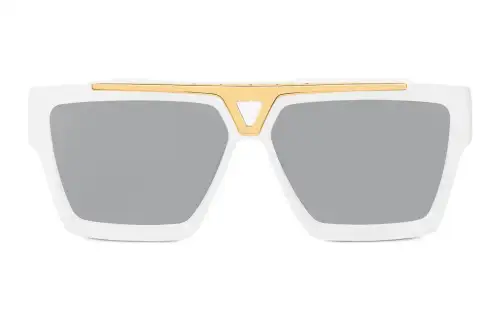 LOUIS VUITTON Evidence Sunglasses Men's