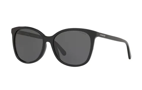 COACH Oval Sunglasses Unisex Black
