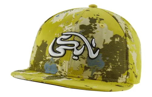 Nike Sb X Carpet Company Hat