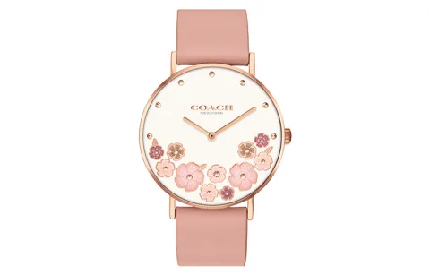 COACH Perry Wrist Watches Quartz Movement Genuine Leather Strap White Dial Women's Watch