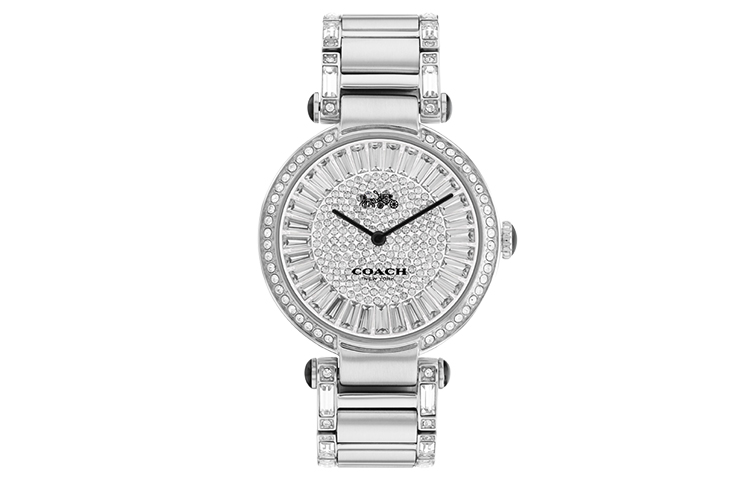 Женские часы COACH Cary 34mm (серебристые)