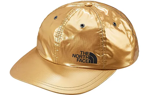 Supreme The North Face Metallic 6 Panel